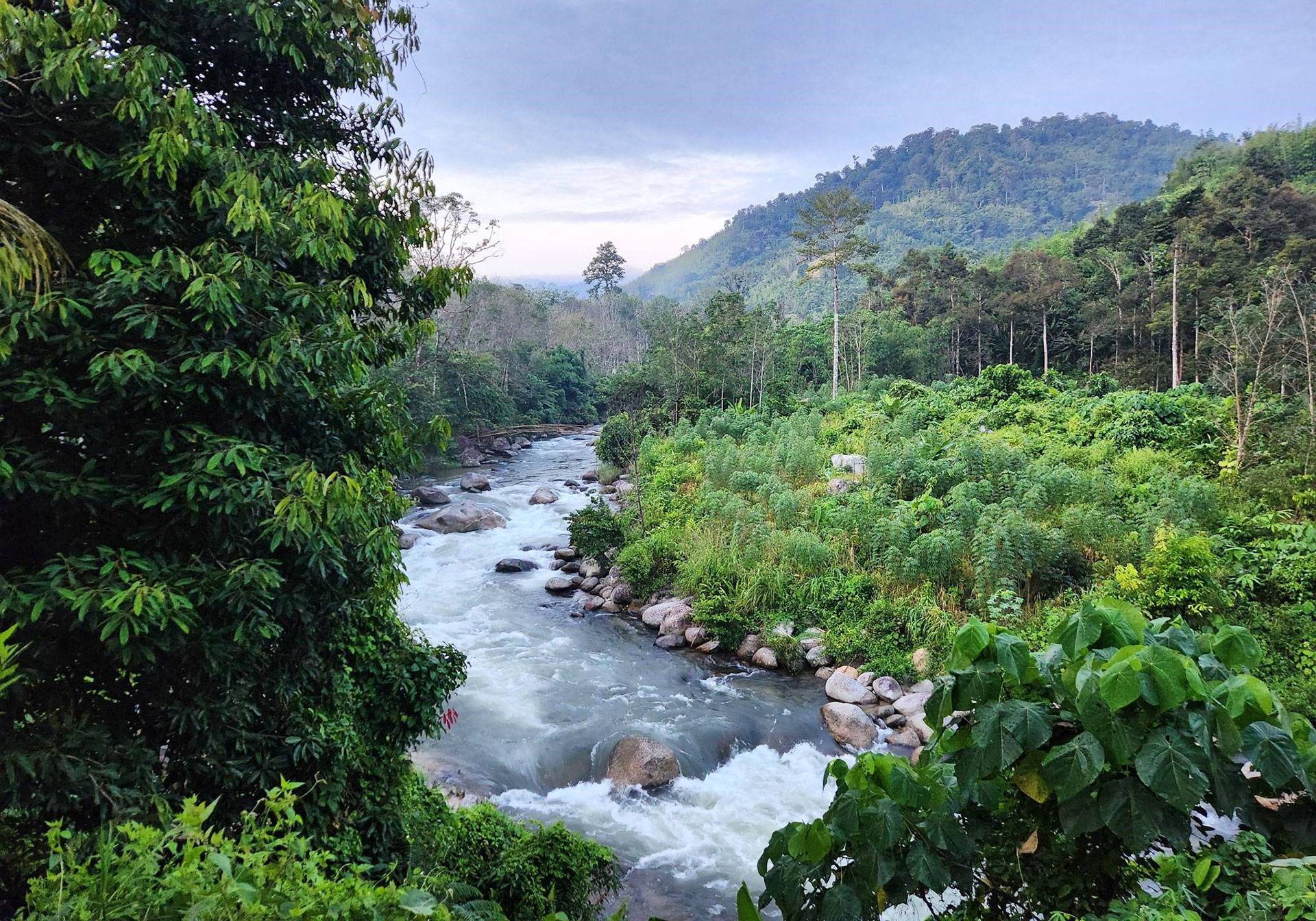 The beautiful river flowing, singing therapeutic sounds of nature