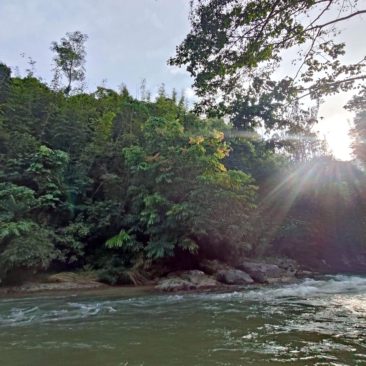 The refreshing river and sparkling sunlight provide a sense of serenity and calmness that cannot be experienced in the city with fast-paced living and technology.